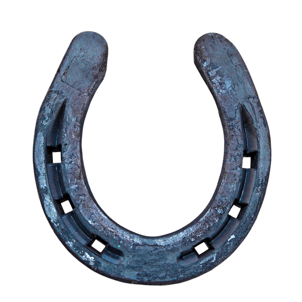 Isolated Luck Symbol Lucky Charm Horseshoe20 Inch By 30 Inch Laminated