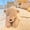 Khaki-colored bear, variant on Hengshan Long Animal Body Pillow, Cute Bunny Bear Stuffed Plush Long Pillow, Ultra Soft Hugging Body Cushion for Sleeping, Cuddle Plush Toy Gift for Teens Adults