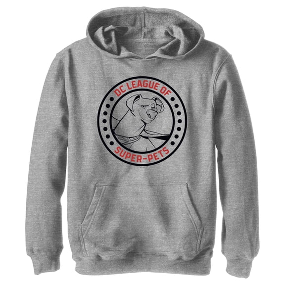 Boy's DC League of Super-Pets Krypto Circle Badge Pull Over Hoodie Athletic Heather X Large