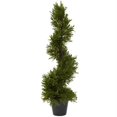 thumbnail image 1 of 30&rdquo; Rosemary Spiral Tree - In-Door-Out-Door, 1 of 1