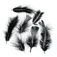 thumbnail image 2 of Marabou 4-6in Black Feathers (3 Headers, 18g), 2 of 5