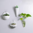 thumbnail image 5 of Balems Nordic wall hanging flowerpot hanging vase simple plant stand flower seeds indoor and outdoor, 5 of 5