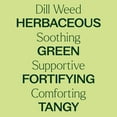 thumbnail image 4 of Plant Therapy Dill Weed  Essential Oil 10 mL (1/3 oz) 100% Pure, Undiluted, Natural Aromatherapy, 4 of 8