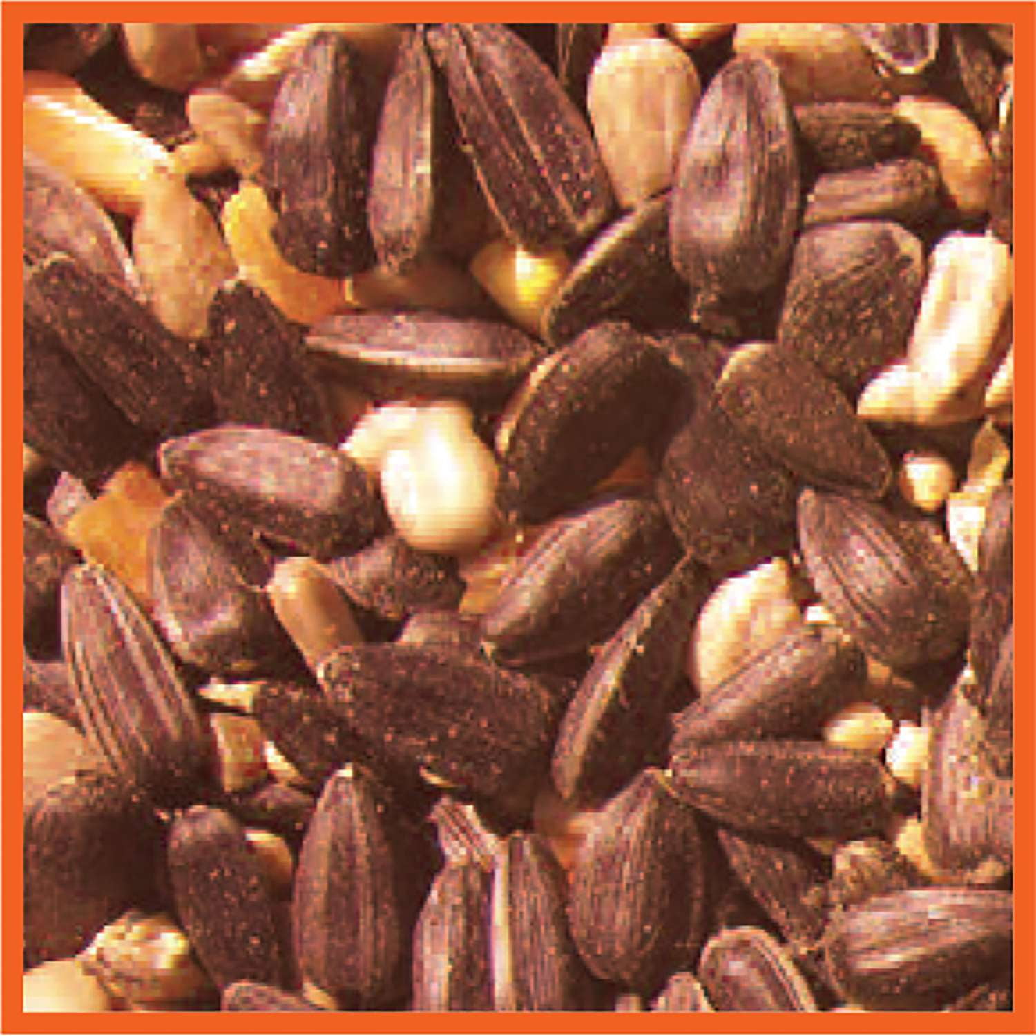 Coles 10 lb. Blazing Hot Blend