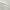 Sage / Printed, variant on Comfort Canopy - Ultra Soft 4 Microfiber Piece Printed Adult Bed Sheets - Gray Printed Bed Sheet for King, Queen, Full, & Twin Beds