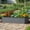 Gray, variant on Opohoro 6x3x2ft Galvanized Steel Raised Garden Bed, Large Outdoor Metal Planter Box for Vegetables & Flowers