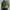 Green, variant on Herrnalise Mens Mock Neck T Shirts Pullover High Neck Turtleneck Premium Cotton Long Sleeve Sweaters For Men Valentine's Day For Him