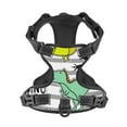 thumbnail image 4 of Bingfone Funny Dinosaurs On Stripes No Pull Dog Vest Harness For Small Medium Large Dogs Strap For Puppy Walking,Training,Dog Harness-X-Large, 4 of 9
