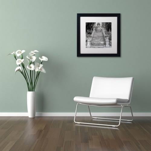 Trademark Fine Art "Liguria II" Canvas Art by Alan Blaustein, White Matte, Black Frame