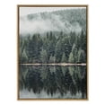 thumbnail image 2 of Kate and Laurel Sylvie Misty Forest Framed Canvas Wall Art by Emiko and Mark Franzen of F2Images, 28x38 Natural, Smoky Forest Mountain Photograph Art for Wall, 2 of 6