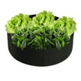 thumbnail image 1 of Gallon Plants Raised Garden Flower Elevated Planting Grow Bag, 1 of 11