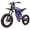 Purple, variant on 3000W Electric Bike for Adults, 45MPH Max Speed, 60V 30Ah Battery, 20" Fat Tire Electric Dirt Bike, Dual Hydraulic Brakes, Full Suspension Ebike for Commuting & Off-Road