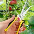 thumbnail image 1 of Podar tijeras para jardín | Tijeras de acero inoxidable para árboles frutales, mango ergonómico antideslizante afilado, cortador de ramas y flores resistente, amarillo/rojo/verde/gris, 8 pulgadas, 1 of 9