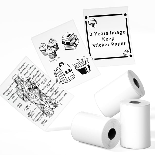 Papel adhesivo Phomemo T02/M02X/M02L, 50 mm x 3,5 m, 3 rollos