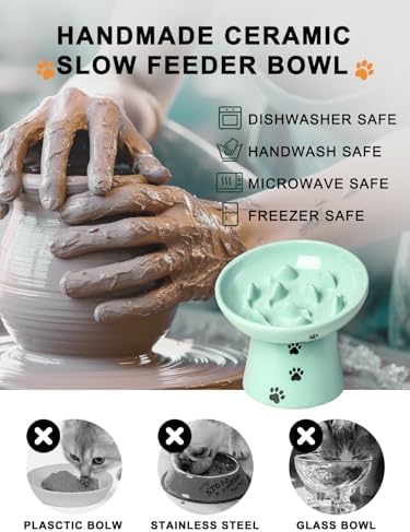 Slow Feeder Cat Bowl, Ceramic Cat Slow Feeder Bowl, 6 Inches, Elevated, Anti Vomiting for Dry and Wet Food, Green