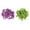 Yellow and Violet, variant on hengtong 100x Reusable 2023 Racing Pigeon Leg Rings Bird Foot Bands for Lovebirds Yellow and Violet