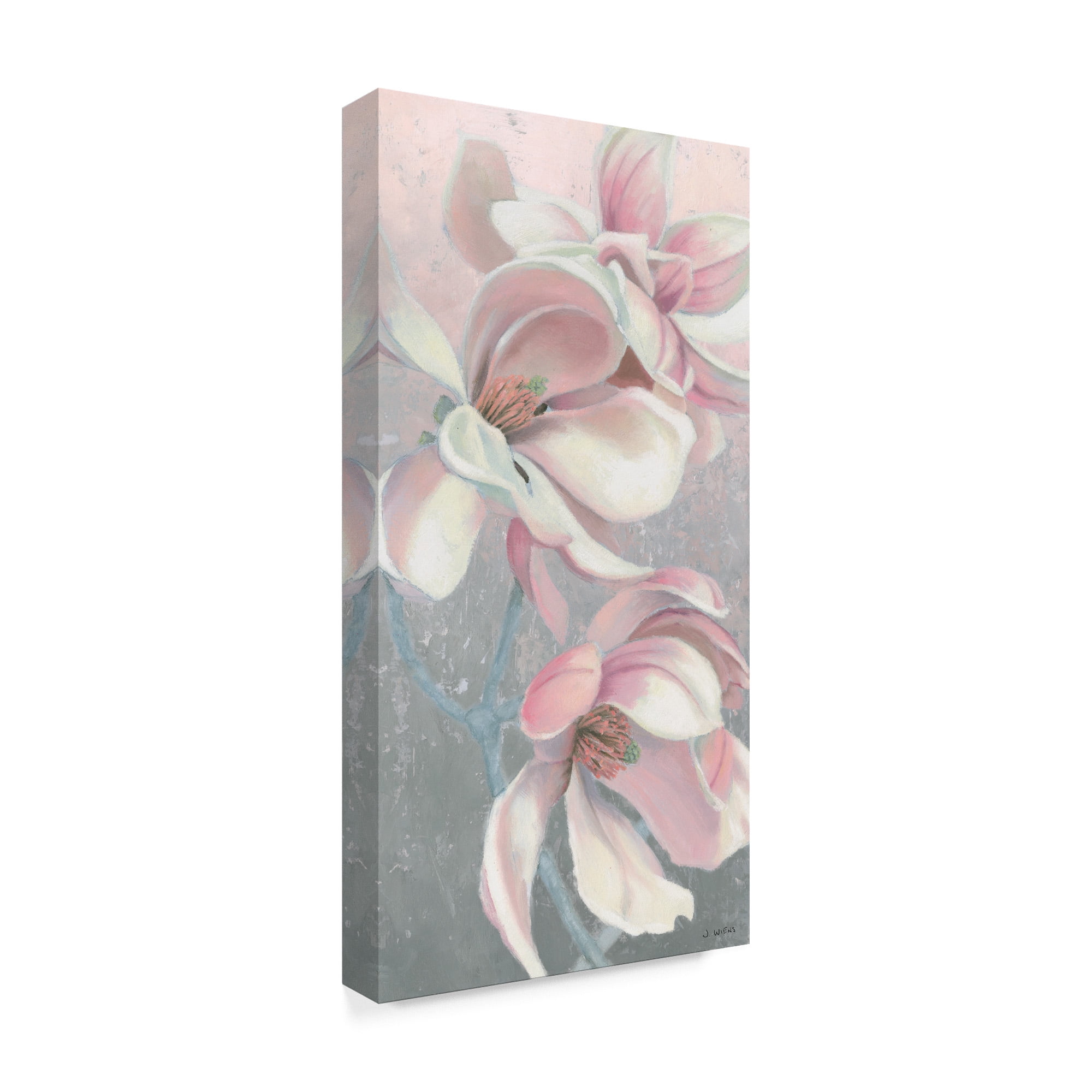 Trademark Fine Art 'Sunrise Blossom I' Canvas Art by James Wiens