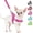 A-Fuchsia, variant on BURIBURI No Pull Small Dog Harness and Leash Set, Puppy Soft Vest Harness Neck & Chest Adjustable, Reflective Lightweight Harness & Anti-Twist Pet Lead Combo for Small Medium Dogs (BL-Front Cli