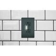 thumbnail image 6 of Legrand Nightlight GFCI Combo,Dplx Switch,125VAC 1597NTLTRLACCD4, 6 of 7