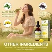 (2 Pack) Mullein Leaf Liquid Drops – 10:1 High Absorption Formula for Respiratory & Immune Support, 4 fl oz