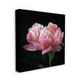 thumbnail image 4 of Stupell Industries Blooming Rose on Black Botanical & Floral Photography Gallery Wrapped Canvas Art Print Wall Art, 17 x 17, 4 of 8