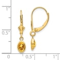 thumbnail image 3 of FB Jewels 14K Yellow Gold 6x4 Oval Bezel November/Citrine Leverback Earrings, 3 of 3