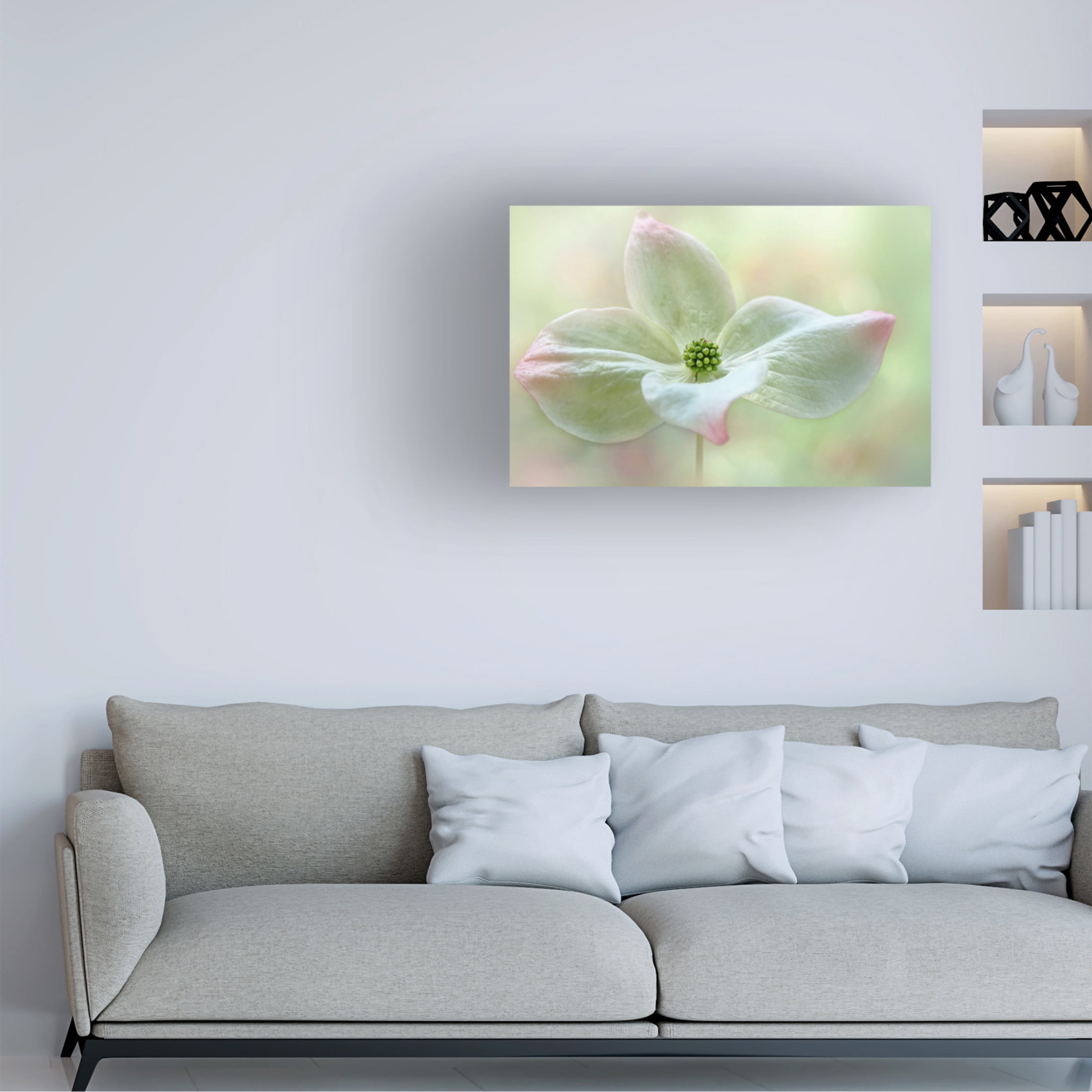 Canvas Wall Art - Jacky Parker 'Cornus Kousa' Wall Art for Living Room, Bedroom, or Office D?cor by Trademark Fine Art - 47 x 30 Inches