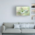 thumbnail image 3 of Canvas Wall Art - Jacky Parker 'Cornus Kousa' Wall Art for Living Room, Bedroom, or Office D?cor by Trademark Fine Art - 32 x 22 Inches, 3 of 4