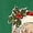Green-A, variant on Women's Christmas Santa Faces Graphic Crew Neck Sweatshirt, Loose Casual Japanese Sweatshirt Top, Festive Holiday Pullover for Women Green M