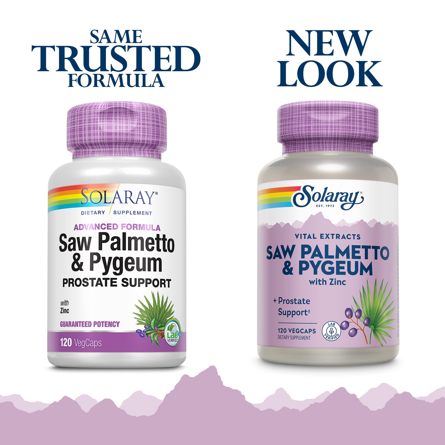 Solaray Pygeum and Saw Palmetto Berry Extracts | Mens Health & Prostate Function Support | Zinc, B-6, Pumpkin Seed & Amino Acids | 120 VegCaps