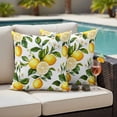 thumbnail image 5 of Yellow Lemon Pillow Covers 2 Pack Green Leaves Watercolor Plants Country Pillowcase Waterproof Outdoor Throw Pillow Cover for Patio Garden Square Cushion 20”x20”, 5 of 9