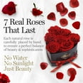 thumbnail image 2 of GLAMOUR BOUTIQUE 7-Piece Forever Flowers Heart Shape Box - Preserved Roses, Immortal Roses That Last A Year - Eternal Rose Preserved Flowers for Delivery Prime Mothers Day & Valentines Day - Red, 2 of 9