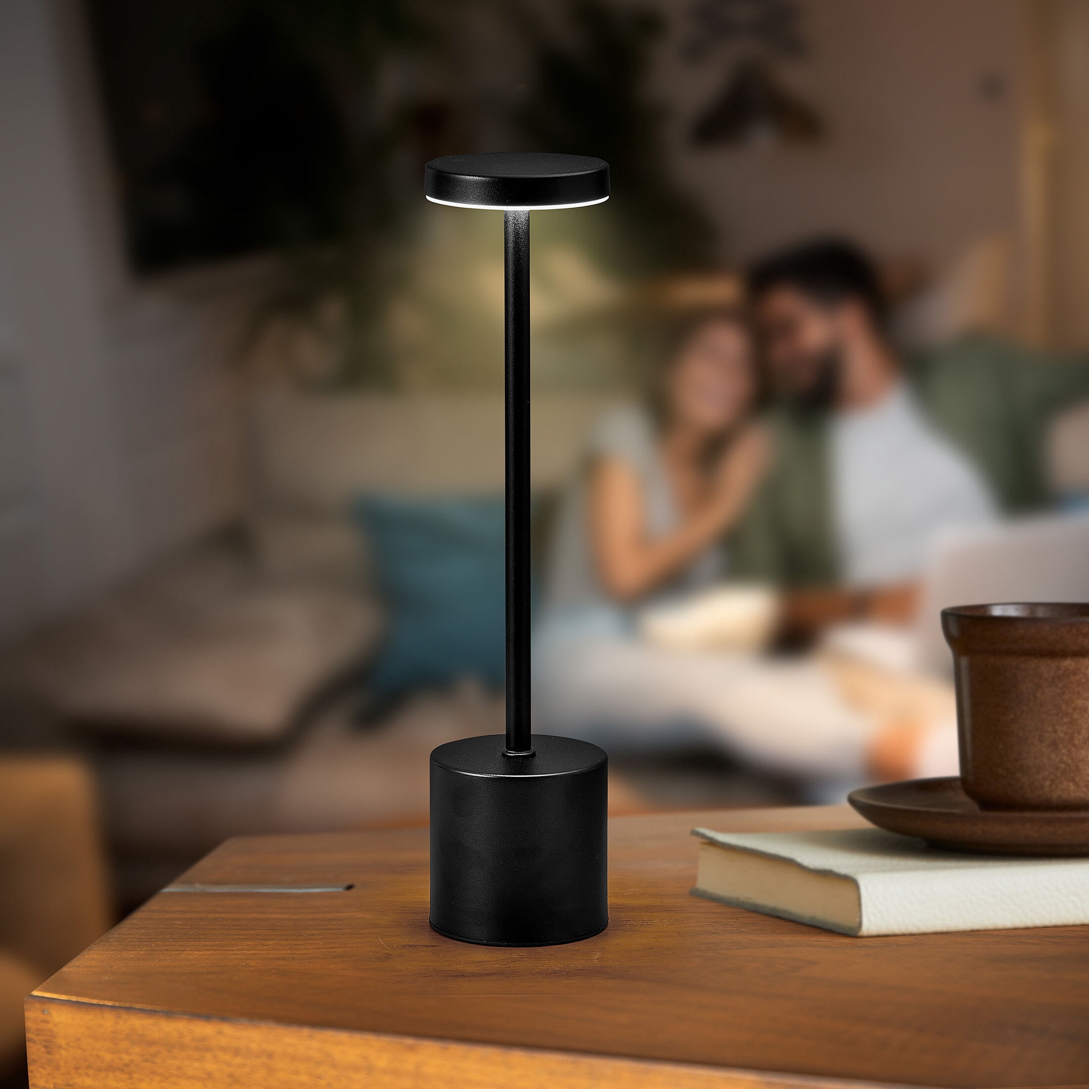 Home Accents 13.5 inch LED Cordless Metal Table Lamp, Rechargeable 3 Color Stepless Dimming, Black