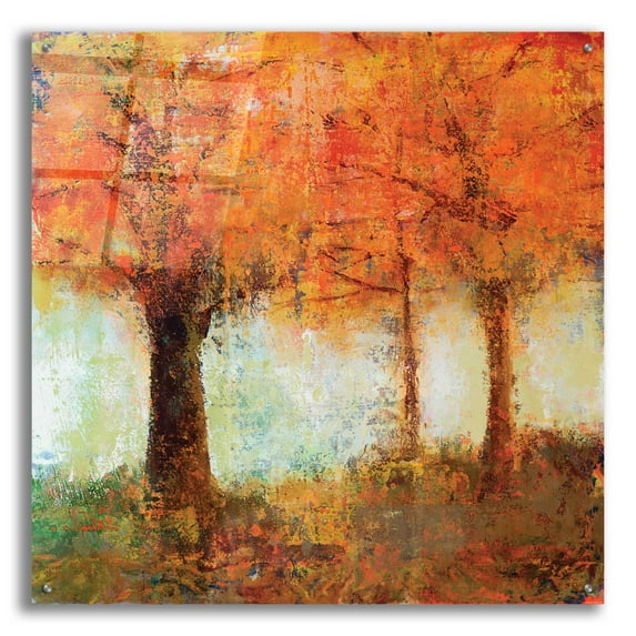 Epic Art 'Fall Trees' by Jadei Graphics, Acrylic Glass Wall Art, 36"x36"