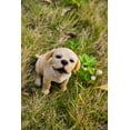 thumbnail image 3 of Hi-Line Gift Ltd 87703-G Yellow Labrador Puppy Howling, 3 of 9