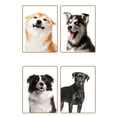 thumbnail image 3 of 4pcs Dog Ear Stand Stickers Dog Ear Fixed Correction Vertical Holder Assist Erected Ear Tool Ear Erector for Chihuahua Pet Supplies, 3 of 5