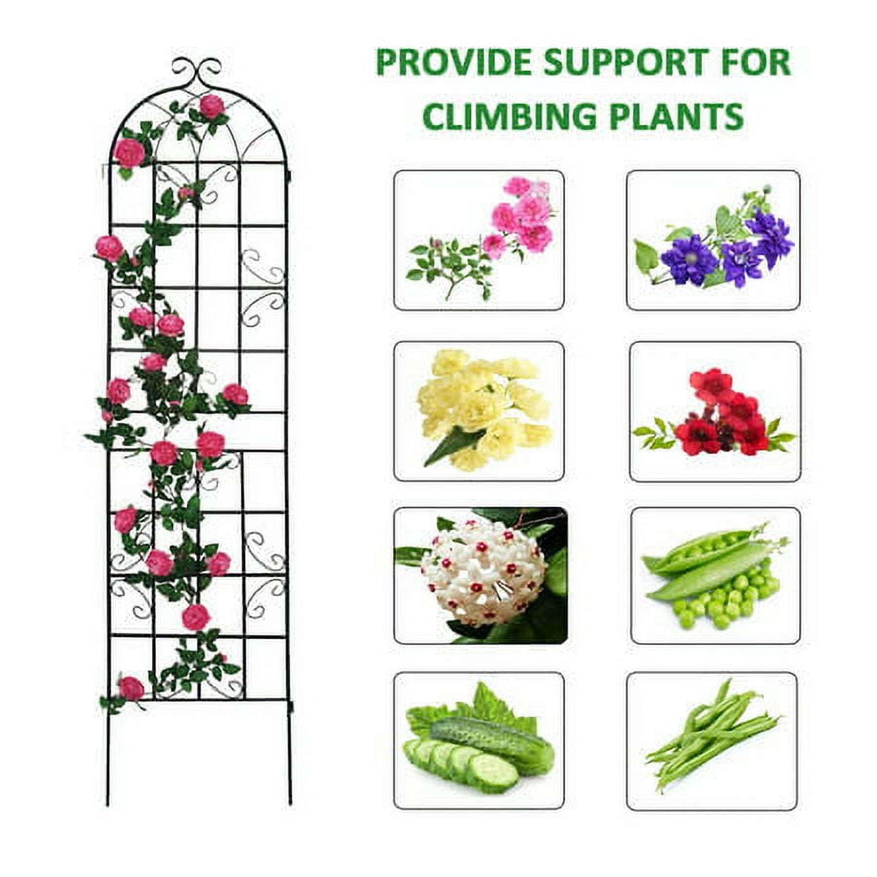 4 Pack 86.7"H x 19.7"W Black Garden Trellis for Climbing Plant Rustproof Iron Plant Support Patio Flower Metal Trelli Wire Lattices Grid Panels for Ivy Cucumbers Clematis Roses