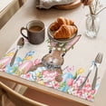 thumbnail image 3 of Bunny Easter Placemats Set of 12 Pink Blue Eggs Tulips Floral Rabbit Rustic Place Mats Indoor Wipeable Table Mats Washable Cloth Dining Table Placemats for Kitchen Holiday Party Home Decor 13x19 Inch, 3 of 9