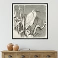 thumbnail image 2 of Designart 'Little Egret Bird in Monochrome' Farmhouse Framed Canvas Wall Art Print, 2 of 5