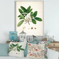 thumbnail image 2 of Ancient Botanicals II 16 in x 32 in Framed Painting Canvas Art Print, by Designart, 2 of 5