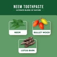 thumbnail image 4 of Pasta de dientes Dabur Neem Herbal Oral Care 100 ml sin flúor, 4 of 6