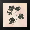 thumbnail image 2 of Purinton, Julia 15x15 Black Modern Framed Museum Art Print Titled - Botanical Study III Blush, 2 of 5