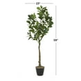 thumbnail image 3 of DecMode 59" Artificial Fig Tree in Realistic Leaves and Black Melamine Pot, 3 of 8