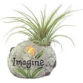 thumbnail image 6 of Aspirational Air Plant Set - 3 Live Air Plants in Decorative Pots - Hope  Dream  Imagine - Cactus  Succulent  Air Plant - A Symbol of Serenity and Natural Beauty, 6 of 6