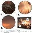 thumbnail image 3 of Designart "Sunset Dandelion landscape III" Floral Floater Framed Canvas Wall Art, 3 of 7