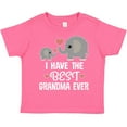 thumbnail image 3 of Inktastic Grandchild Best Grandma Ever Boys or Girls Toddler T-Shirt, 3 of 5