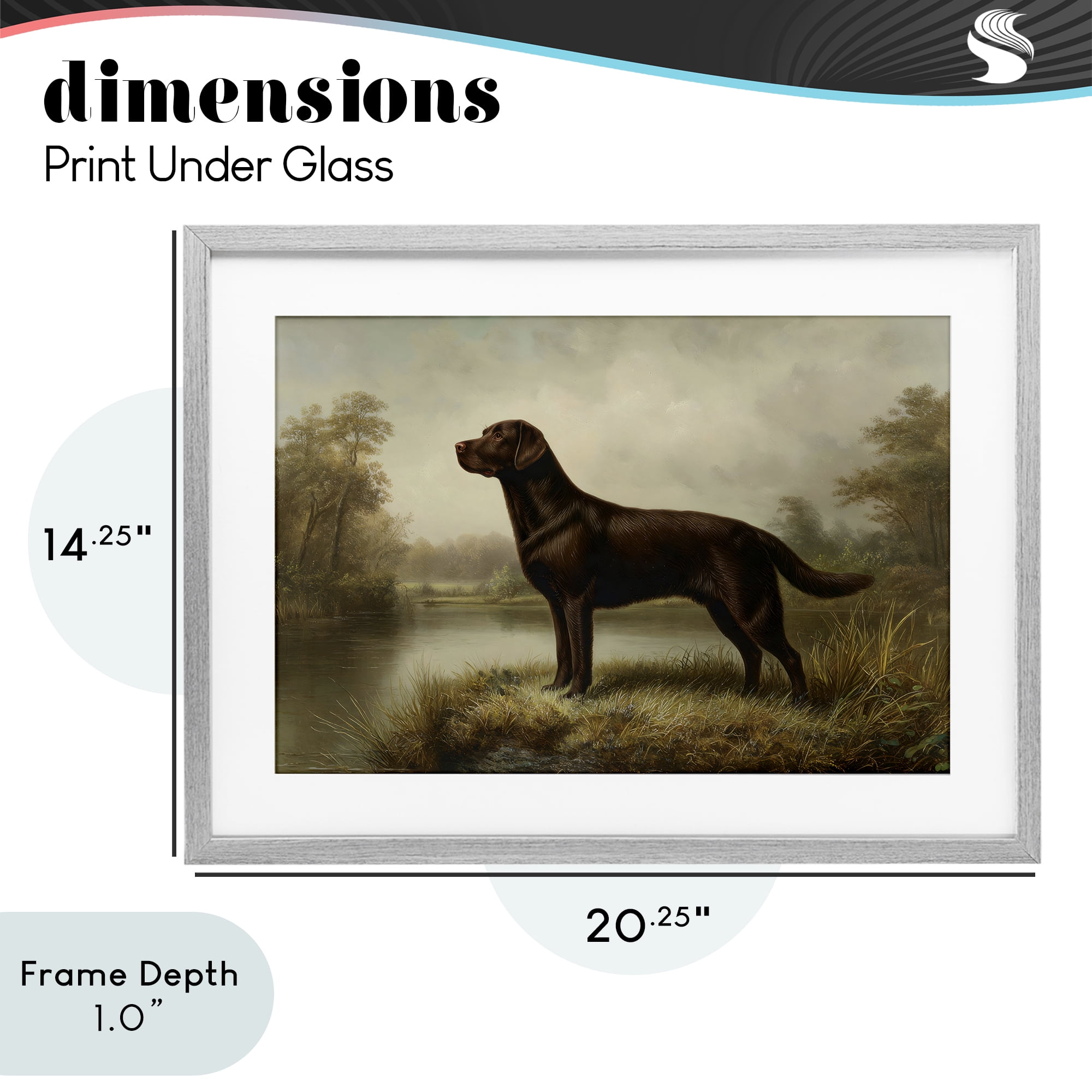 Stupell Industries On Alert Chocolate Lab Gray Framed Print Under Glass, design by Petal Prints Design