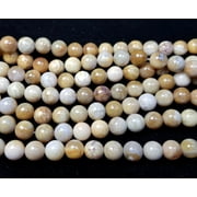 6mm 15.5 Inches Fossil Coral Jasper Round Beads Genuine Gemstone Natural Jewelry Making