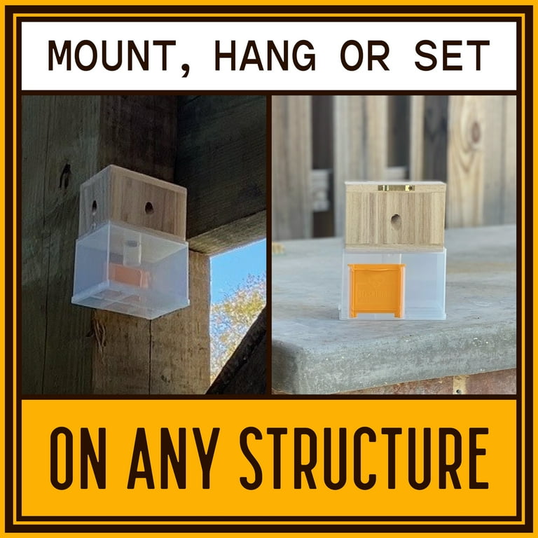 Bees N Things Wood Hanging Carpenter Bee Catcher for Outdoor Use