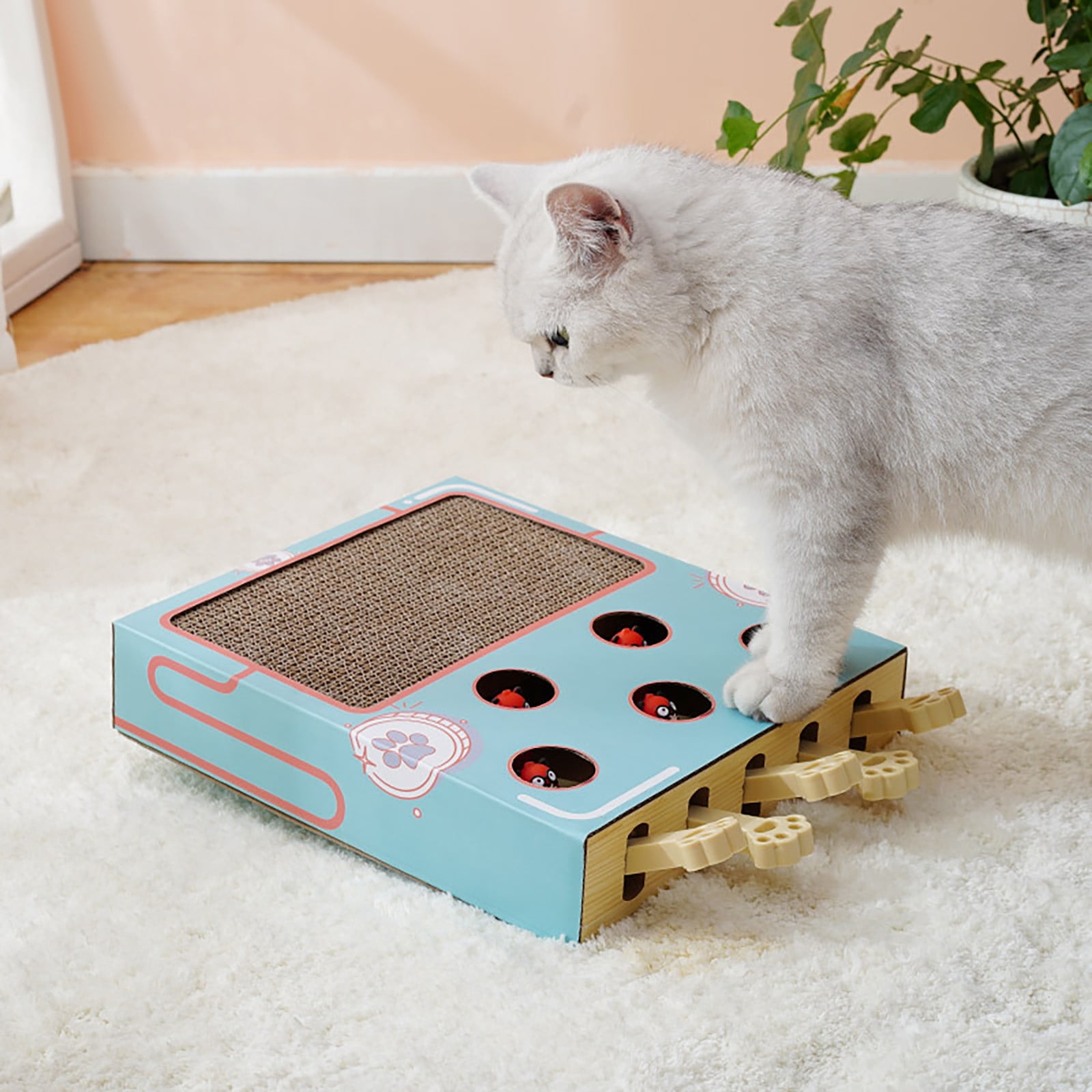 Cat Enrichment Toys for Indoor Cats, Interactive Game, Toys for Cats Indoor, Scratching Pad, And Cardboard Box for Indoor Cats